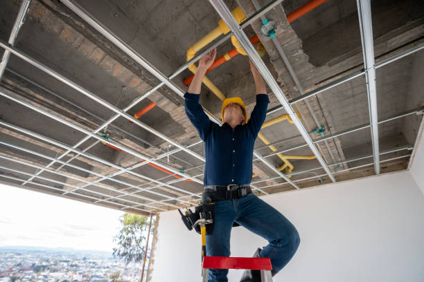 Best Plumbing Inspection Services  in Tucumcari, NM